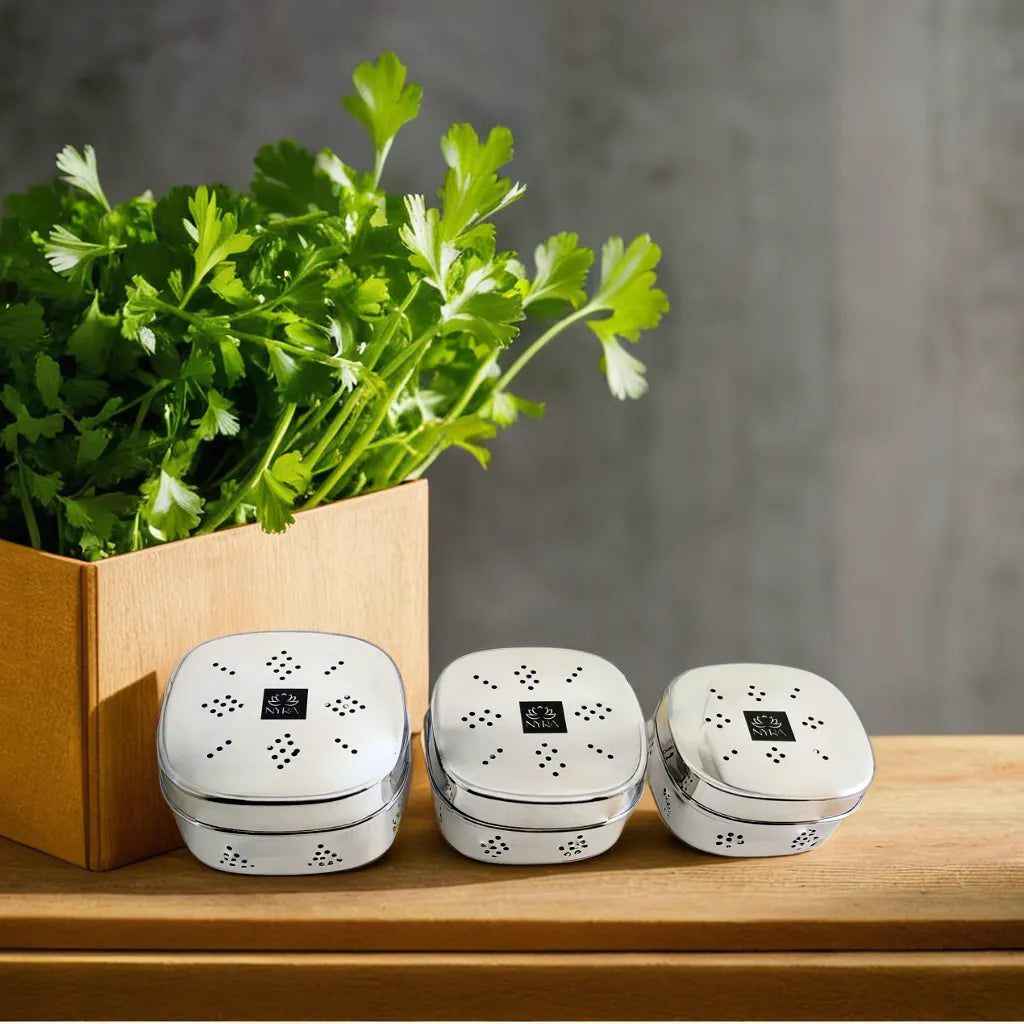 Stainless Steel Square Coriander Storage Container - 3 Size