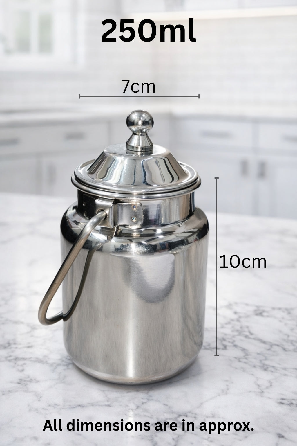 Stainless Steel Mini Oil Canister with Lid & Handle | Multipurpose Kitchen Storage Container/Barni