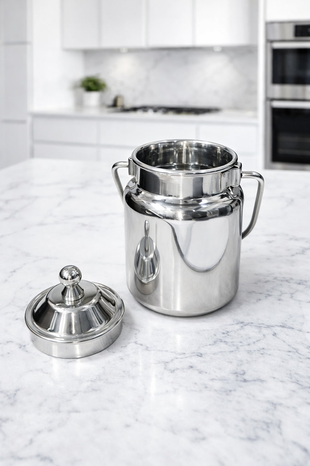 Stainless Steel Mini Oil Canister with Lid & Handle | Multipurpose Kitchen Storage Container/Barni