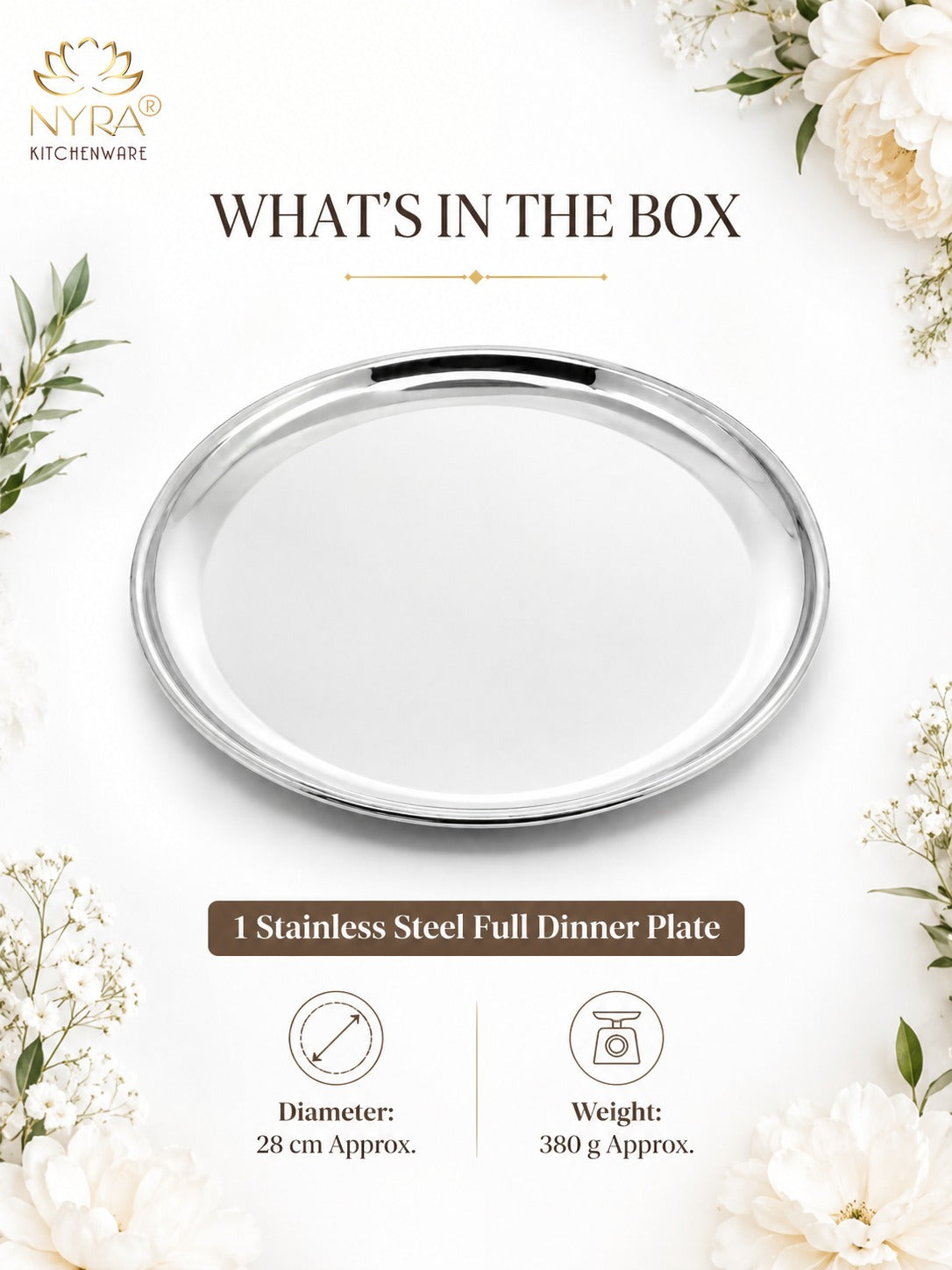 Stainless Steel Plates Heavy Gauge Steel Set of 12 Plates