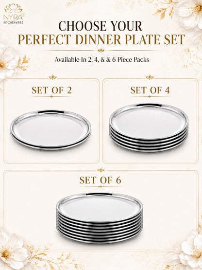 Stainless Steel Plates Heavy Gauge Steel Set of 12 Plates
