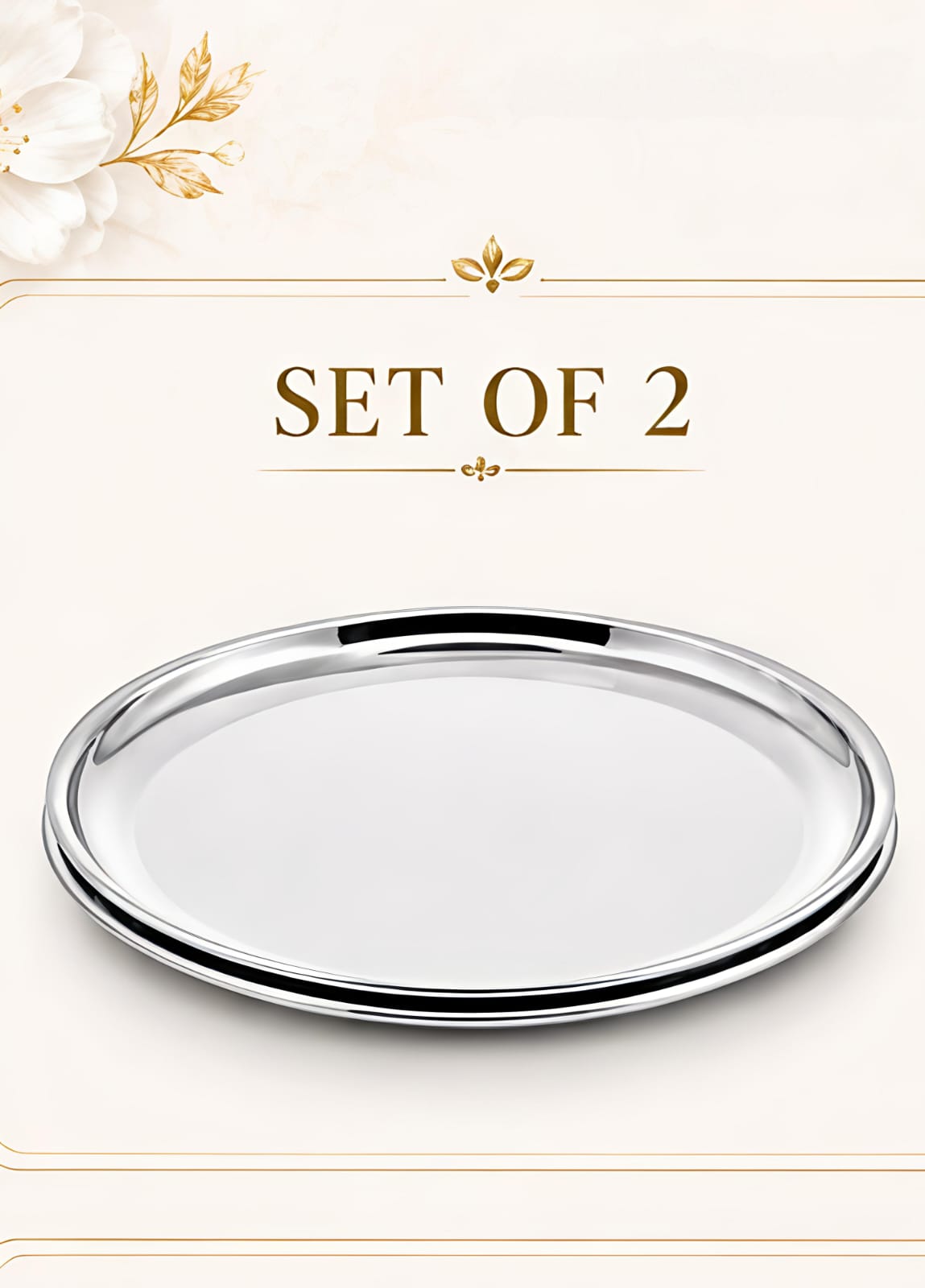 Stainless Steel Plates Set - Heavy Gauge Steel Lunch/Dinner Plates