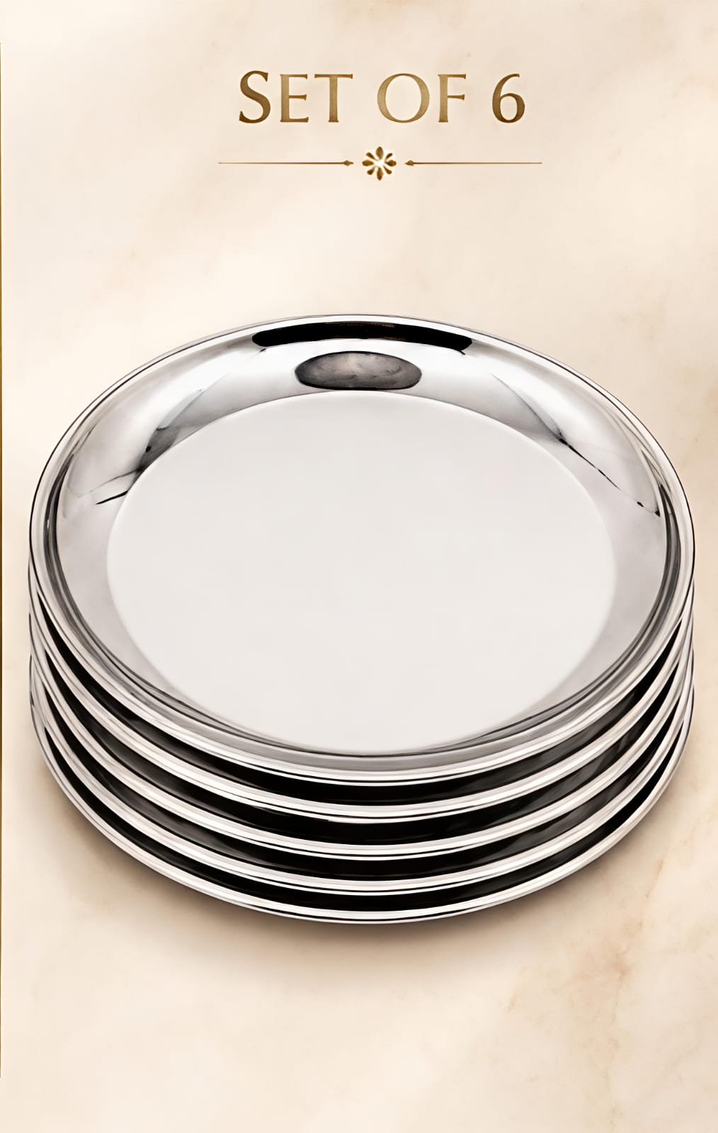 Stainless Steel Plates Set - Heavy Gauge Quarter Plates